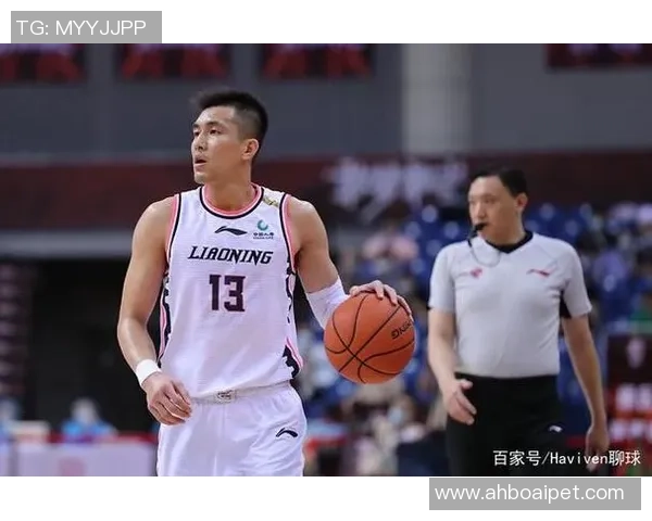 广州与北京排球队技术对决赛后分析与复盘探讨