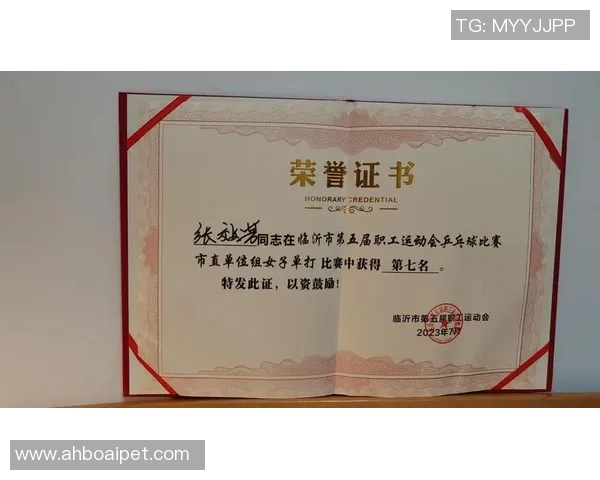 深圳乒乓球队荣登乒乓球节奏排行榜第三名展现强劲实力