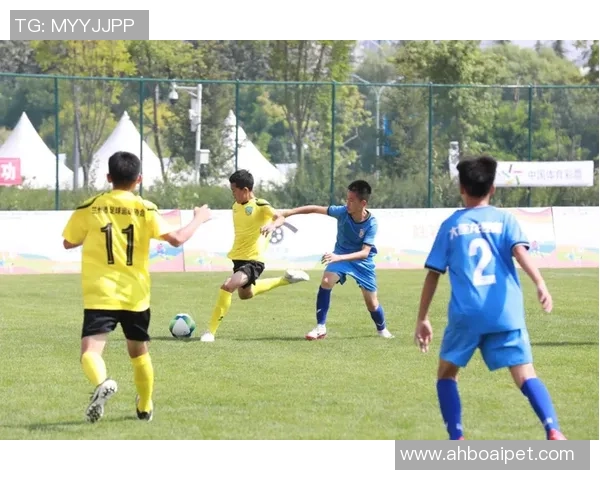 重庆足球队耐力分析揭示球队在比赛中的持久力与表现差异 重庆足球队耐力分析揭示球队在比赛中的持久力与表现差异